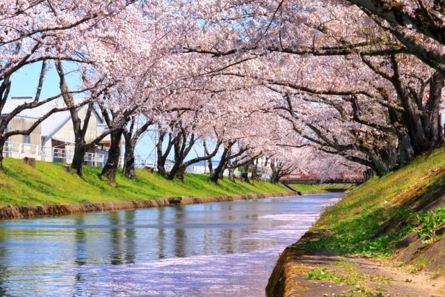 岩倉市風景