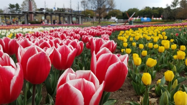 木曽三川公園