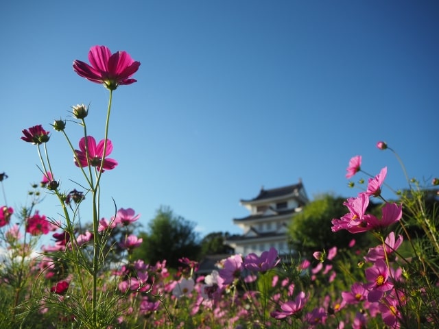 尾張旭市風景