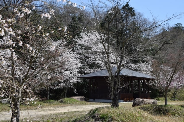 土岐嵐山