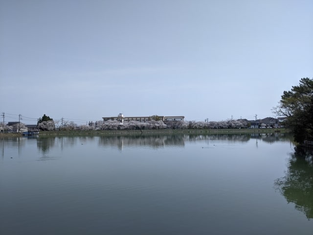 三崎水辺公園の池