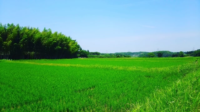 阿久比町風景