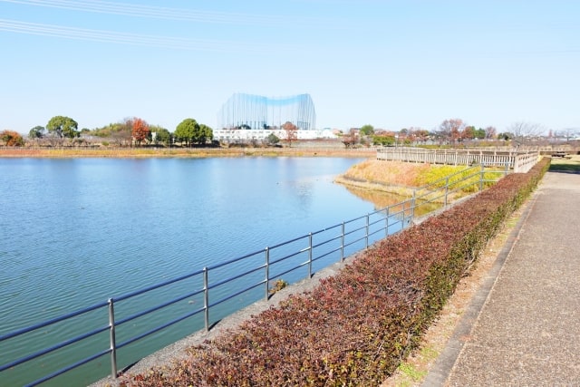 みよし市の細口公園