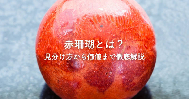 赤珊瑚とはメインイメージ