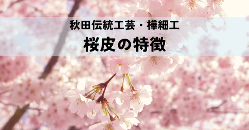 樺細工の特徴メインイメージ